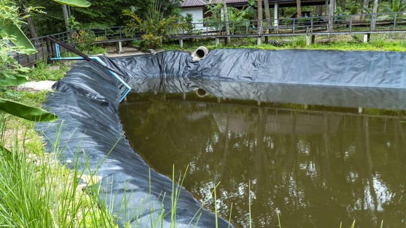 Pond Servicing