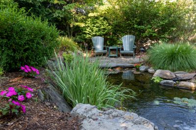 Pond Servicing