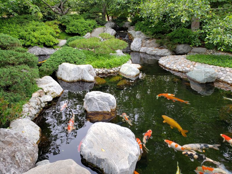 Garden Pond Installation in Honolulu, HI