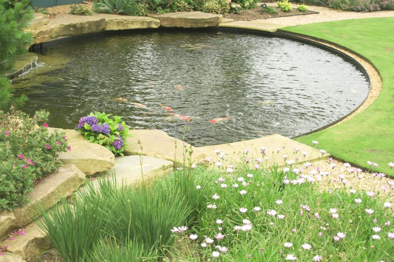 Koi Pond Installation in Honolulu, HI