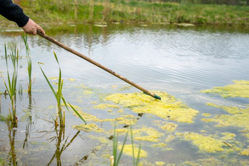 Pond Cleaning in Honolulu, HI