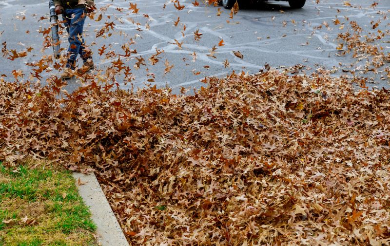 Fall Leaf Removal