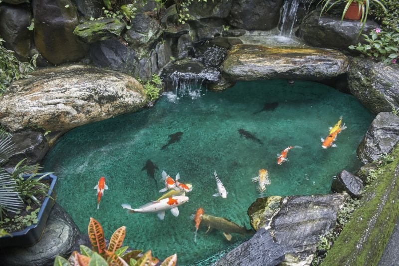 Koi Pond Construction in Honolulu, HI